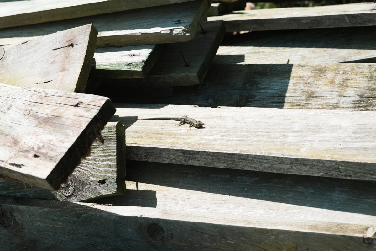 Plancher en bois